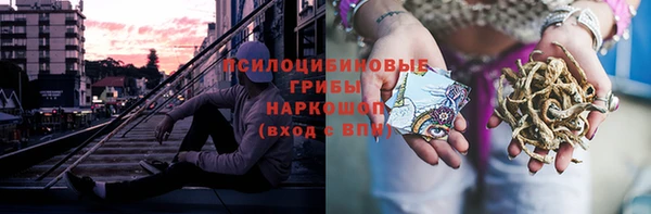 гашик Сосновый Бор