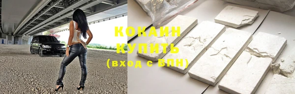 гашик Сосновый Бор