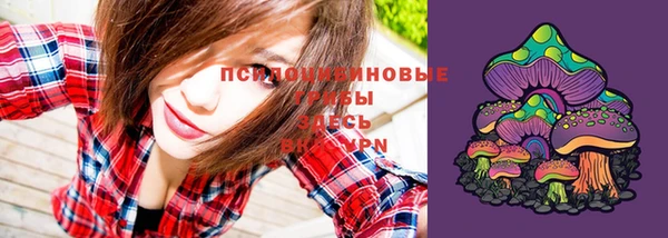 гашик Сосновый Бор