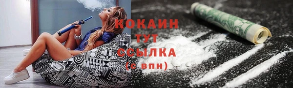 гашик Сосновый Бор