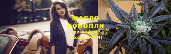 гашик Сосновый Бор