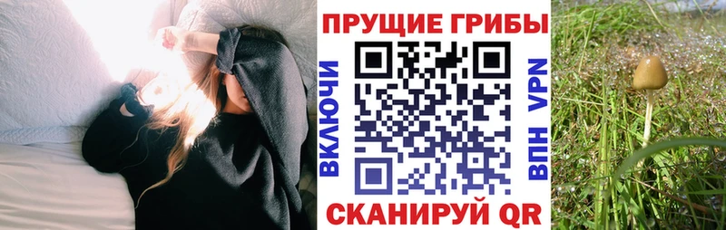 Галлюциногенные грибы MAGIC MUSHROOMS  Барабинск 
