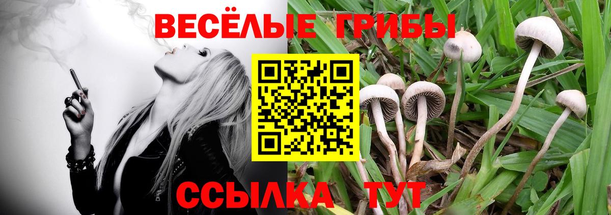 купить наркотики цена  Вход с VPN  Псилоцибиновые грибы Psilocybine cubensis  Барабинск  Галлюциногенные грибы MAGIC MUSHROOMS 